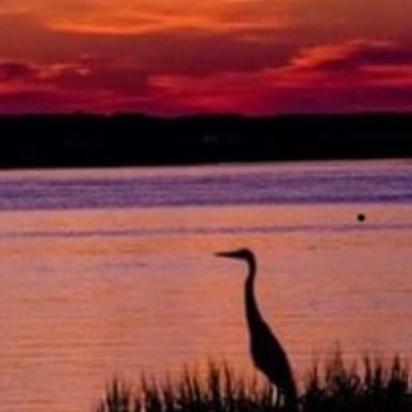 Meet your Posher, Lisa - Picture 2 of 2